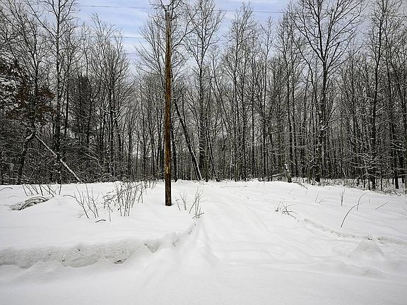 2nd image of LOT 2 Pierce Homestead Rd