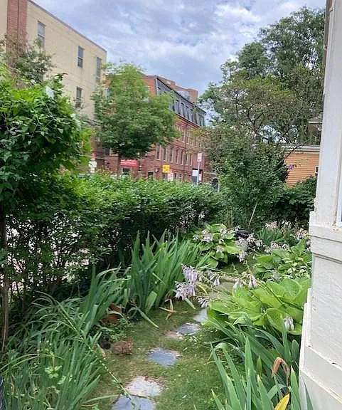 28 Mount Auburn St #1 — Photo 16