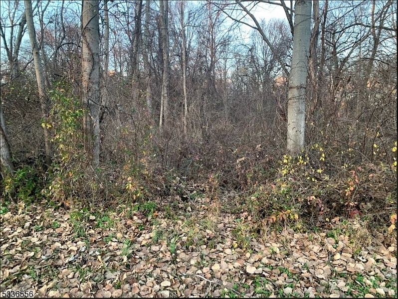 2nd image of 25 Harding Dr