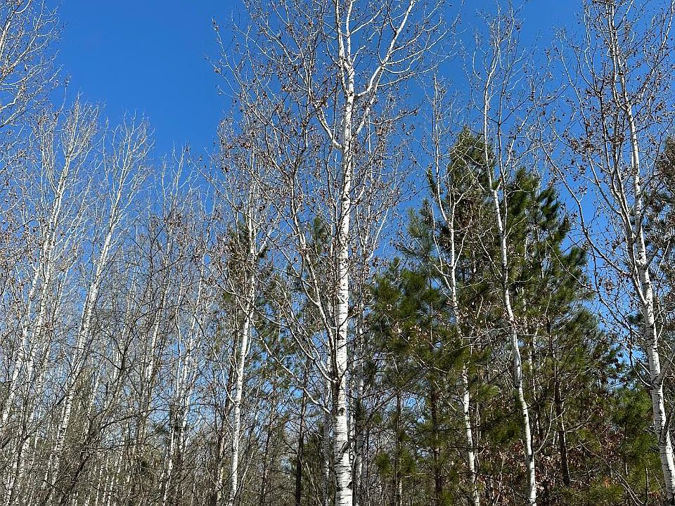 Lower Kaubashine Rd, Minocqua, WI 54548 MLS 201091 Zillow