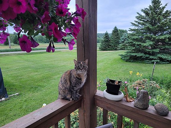 view from front porch