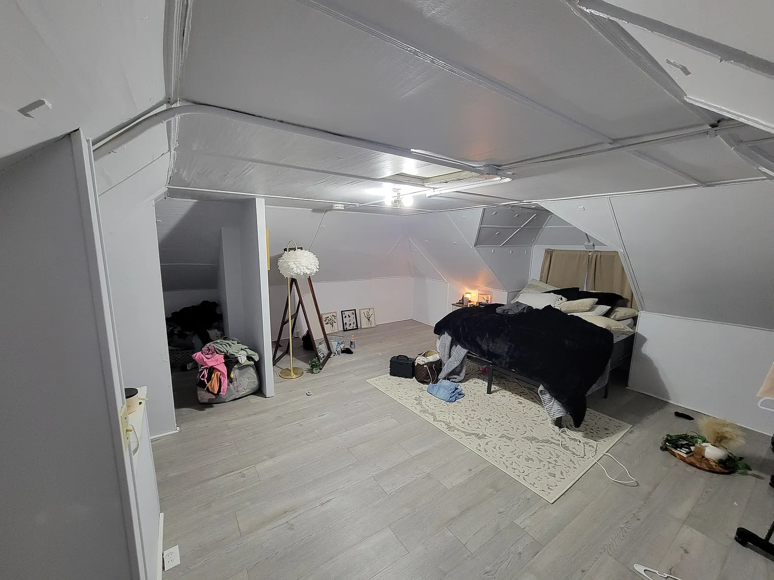2116 Olive St — Photo 3