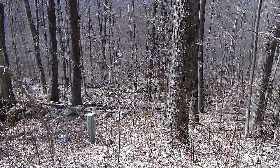 2nd image of 9 Stone Camp Rdg
