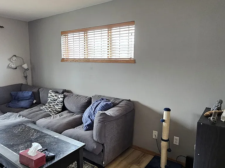 1425 Bellflower Ln — Photo 50