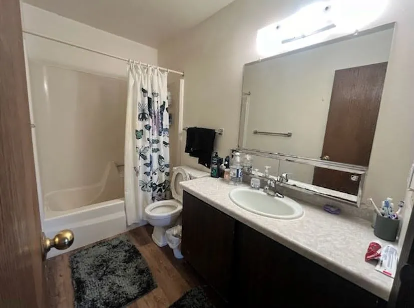 2 bed, $860 — Photo 4