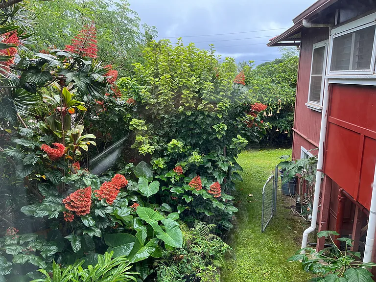 45-3688 Hau Rd — Photo 26