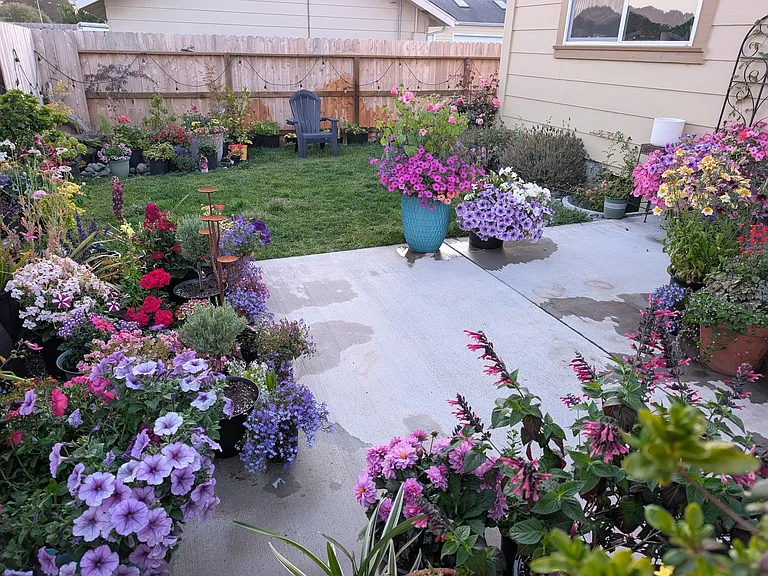 1486 Gavin Ln #1 — Photo 3