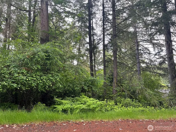 11111 Juniper Place, Anderson Island, WA 98303