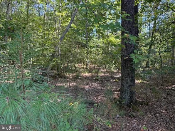 6 Stafford Cv, Ruther Glen, VA 22546