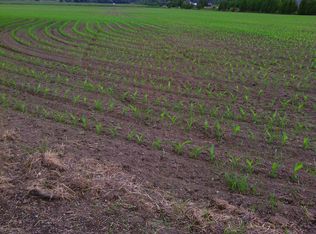 3676 S Pass Rd, Everson, WA 98247