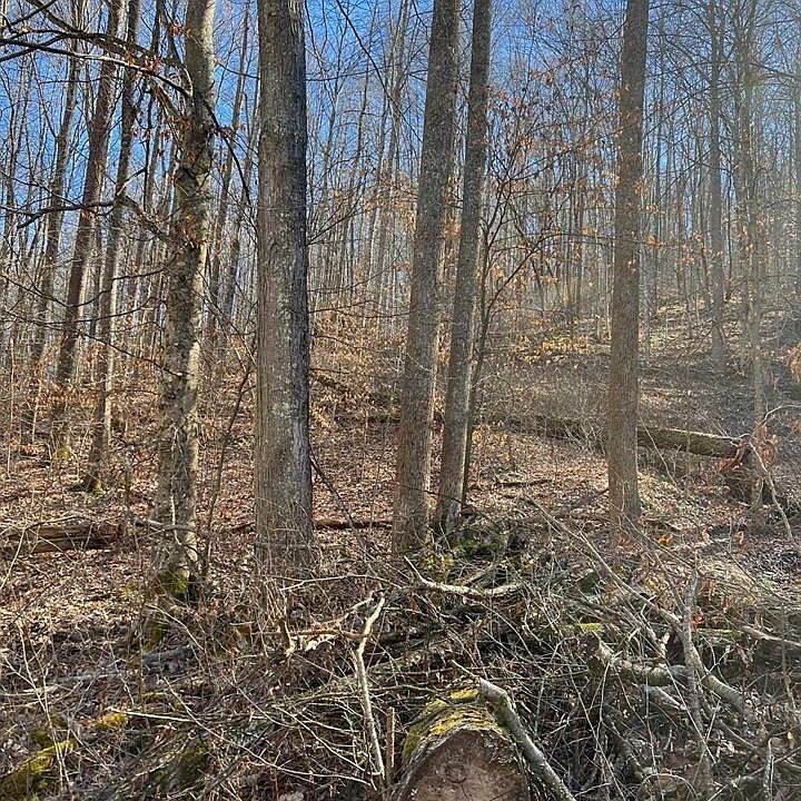 2nd image of Peaceful Garden Cemetery Rd