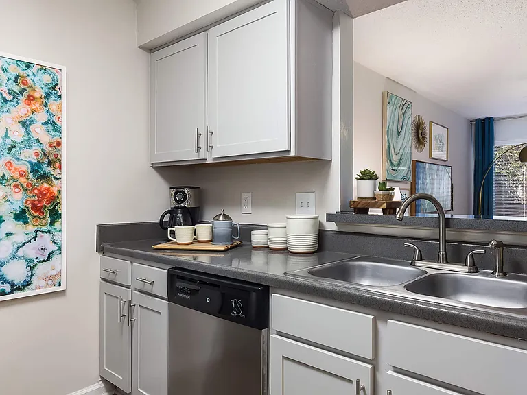 Kitchen with Modern Sprayer Faucet and Double Sink - Diamond Interior