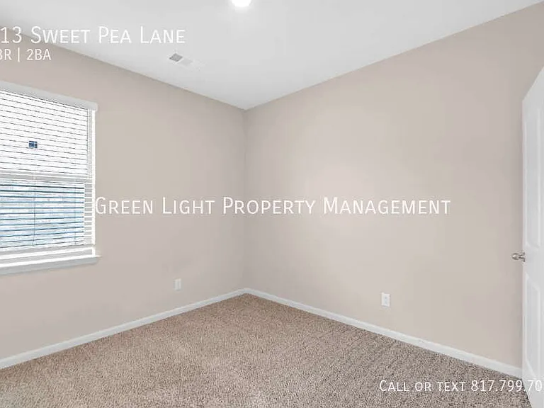 313 Sweet Pea Ln — Photo 10