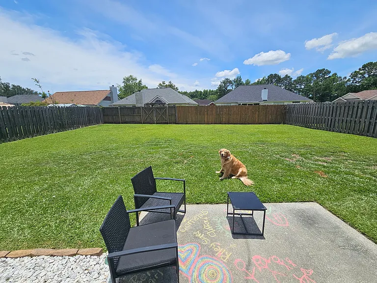 5 Vineyard Haven Dr — Photo 6