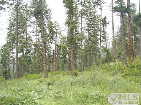 Trees on upper property