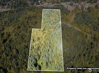 0 Lot 5 Spirit Lake Parcel WK3612010 Highway, Castle Rock, WA 98611