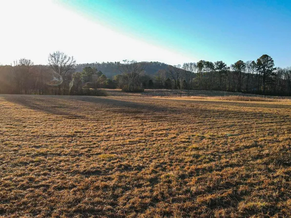 1781 Highway 5 #2, Wilsonville, AL 35186
