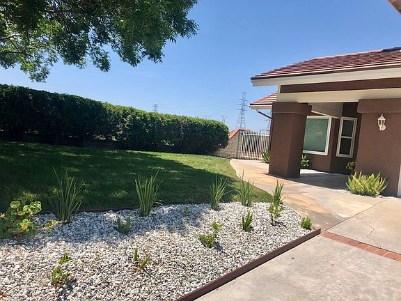 2nd image of 28407 Fig Ct