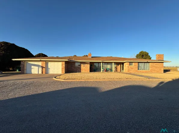 535 E Morgan Rd, Hagerman, NM 88232