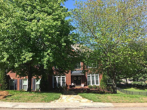 View with full tress