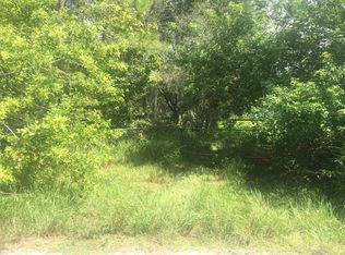 4369 Fanny Bass Ln, Saint Cloud, FL 34772