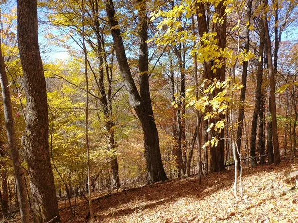 588 El Miner Dr, Mars Hill, NC 28754