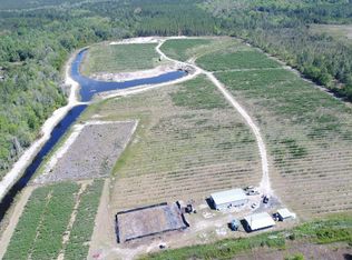 Elbert Wilson Rd, Waynesville, GA 31566