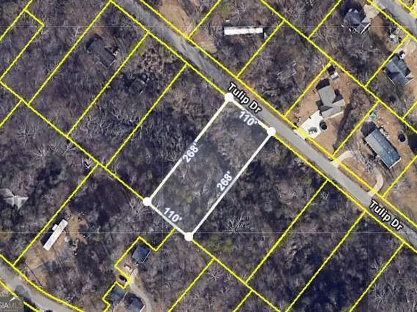 1828 Tulip Dr, Gainesville, GA 30507