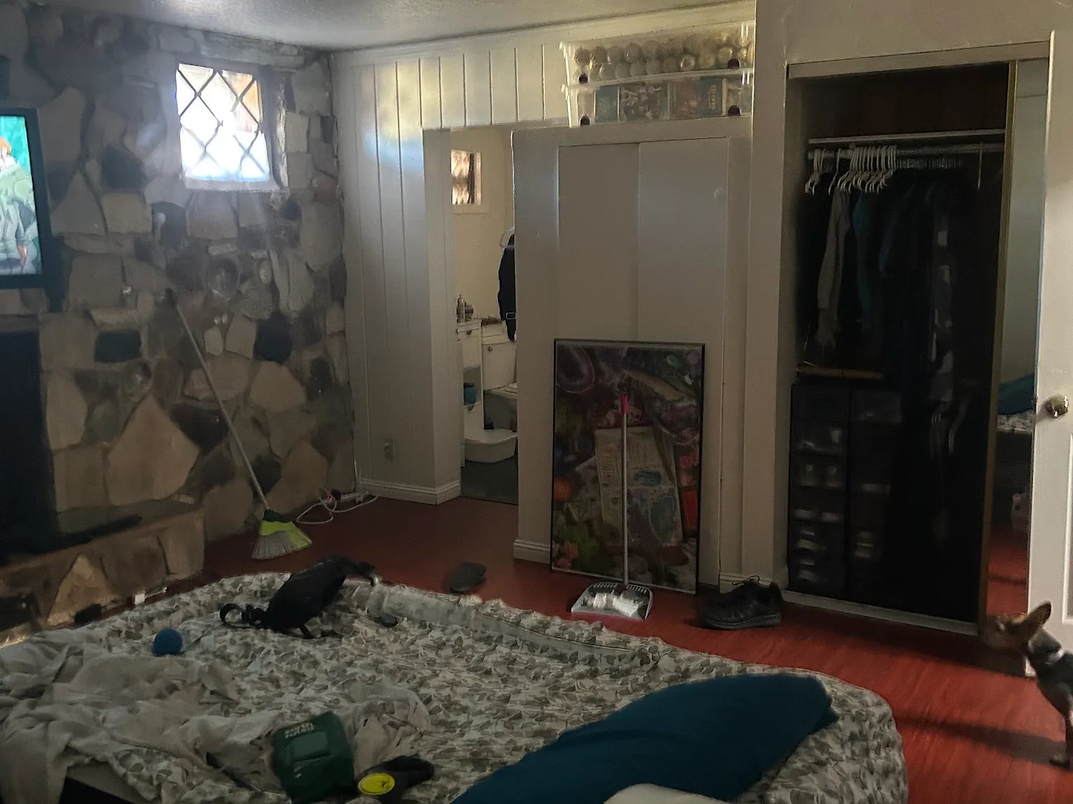 3 bed, 1000 sqft, $2,700 — Photo 3