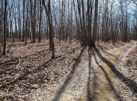 4th image of 517 Howardsville Tpke