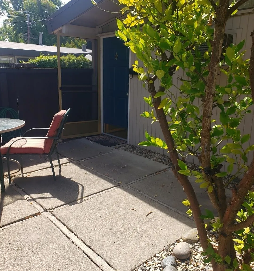 1 bed, 500 sqft, $2,000 — Photo 2