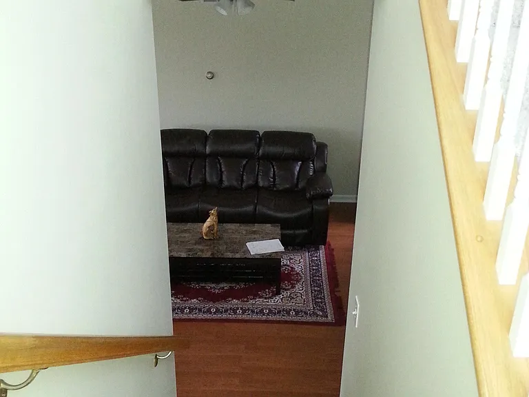 740 Ferris Way — Photo 28