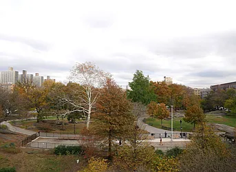 Rented by New Holland Residences