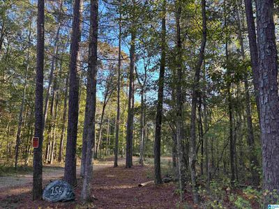 156 County Road 606 #5.6, Woodland, AL, 36280