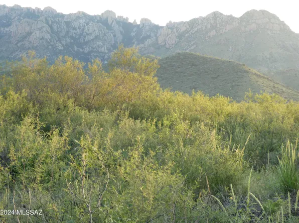 S Acacia Ln #3D, San Simon, AZ 85632