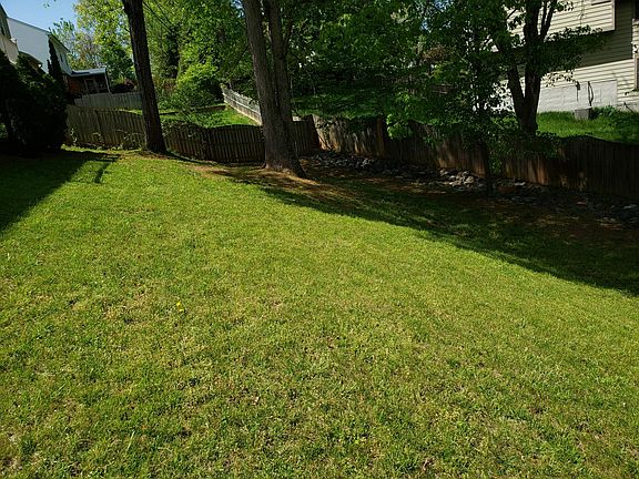 back yard