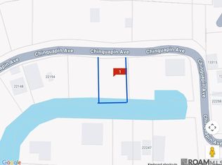 22222 Chinquapin Ave, Maurepas, LA 70449