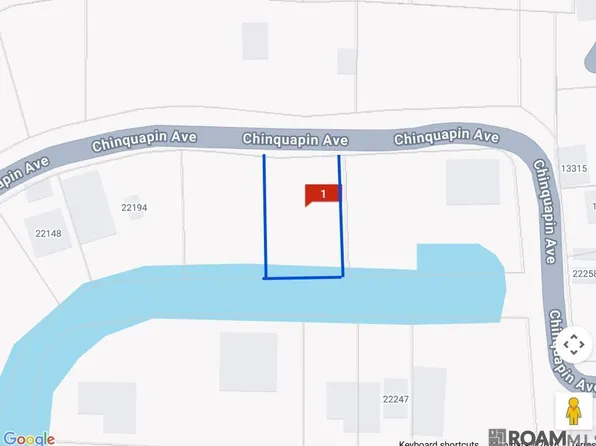 22222 Chinquapin Ave, Maurepas, LA 70449
