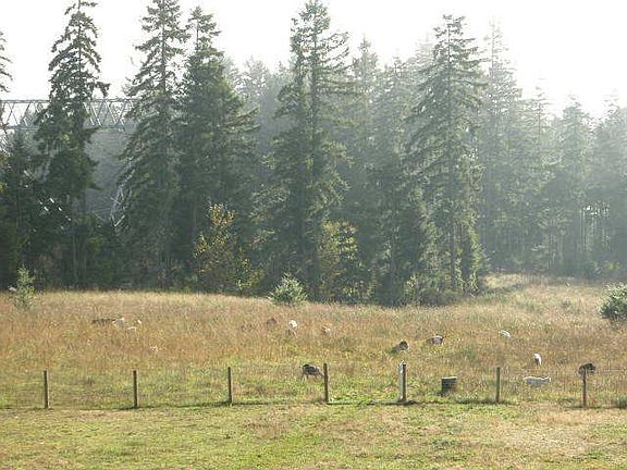 View of land