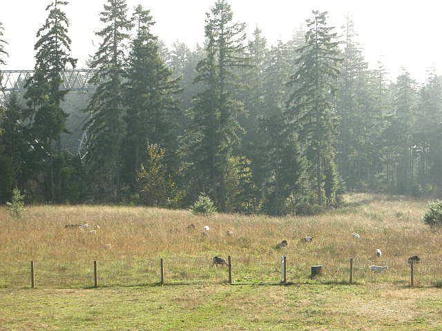 View of land
