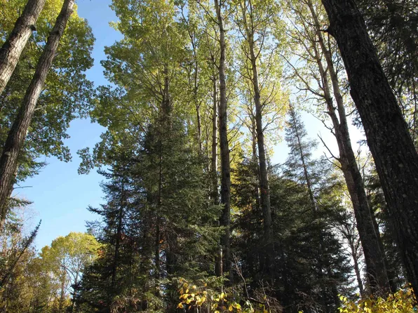 90 Franks Way, Grand Marais, MN 55604