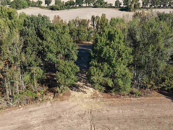 3rd image of Mulberry Rd