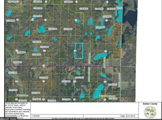 Xxxx Xxxx Savannah Twp, Park Rapids, MN 56470