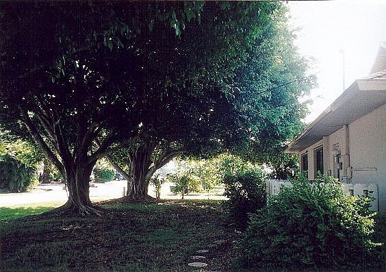 View walking down Forestwood.