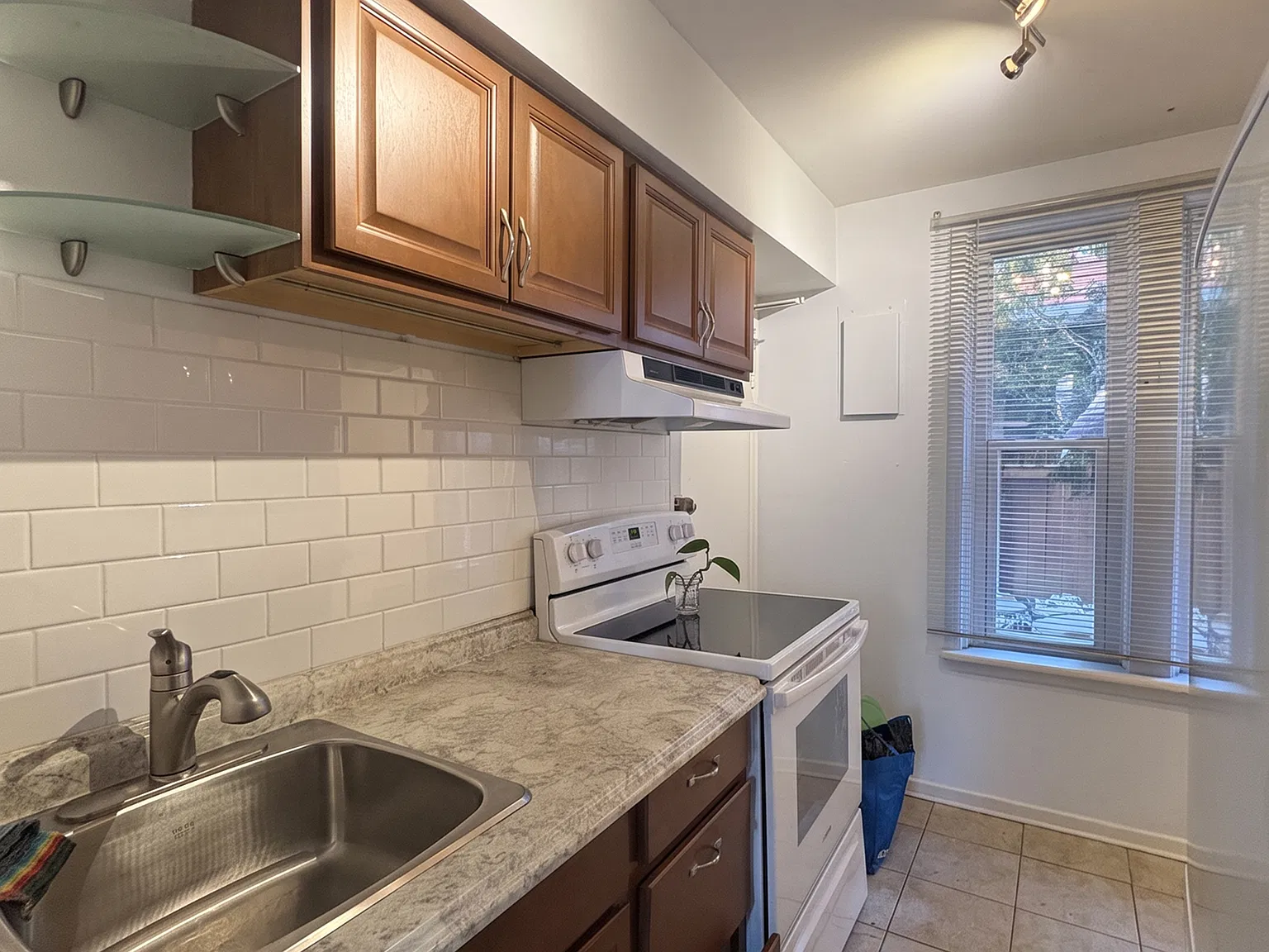 6 Frank Street — Photo 4