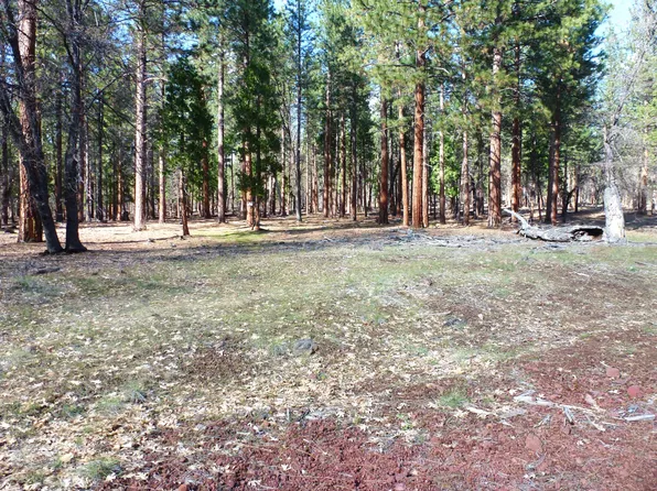 Xx Old Toll Rd, McArthur, CA 96056