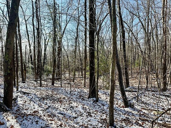 5th image of 99 Burbank Rd