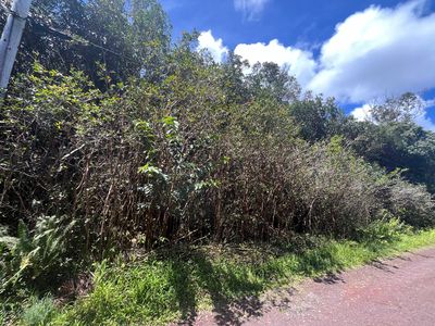 Puna St, Pahoa, HI, 96778