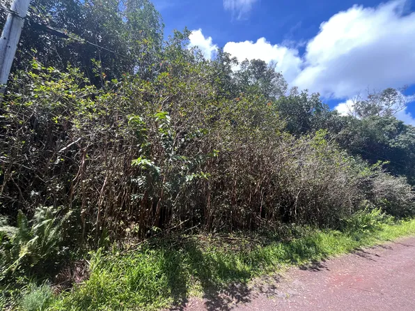Puna St Lot 542, Pahoa, HI 96778