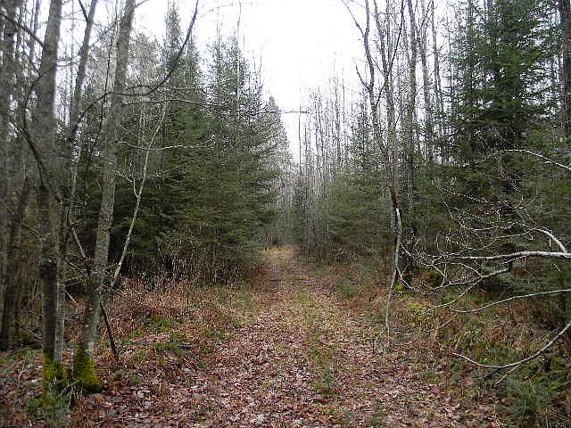 2nd image of 40 Ac County Rd #U